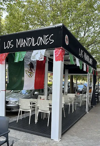 Restaurante Los Mandilones: Sabores auténticos en el corazón de Madrid, donde cada plato cuenta una historia deliciosa que no te querrás perder