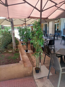 ardisson: Delicias italianas en Benalmádena que te harán volver 8 AF1QipMEZY adhQYuYnVFw3jigQQj7ICEyB8T pngkGO
