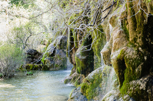 Nacimiento: Encanto natural y cocina excepcional en Vega del Codorno 44 AF1QipMHjdPE0Y8Q ktc1ar7EGpd iDF1GW9SzgOTMaG