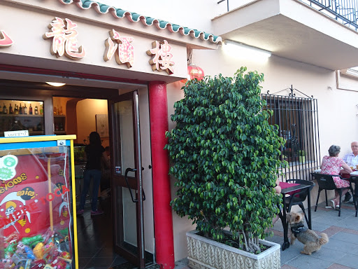 Nueve Dragones: Cocina vegetariana y ambiente familiar en Mijas 1 AF1QipMYd8IEhHh7B4MMynvFPCTkZGz396K7tl6wGJlA