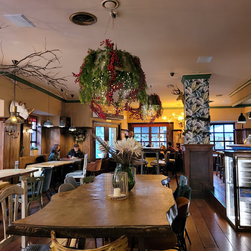 Mondo Lirondo: El rincón ideal en Palencia para disfrutar tacos y buena compañía 1 AF1QipMnjHWU CpJDJPjcUlFLj9OjWP2ycvvh EYdo5f