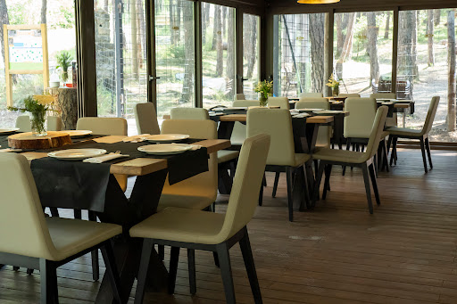 Bar restaurante La terraza de Arratiecho: Sabores únicos con vistas al Parque de Arratiecho 16