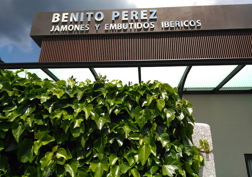 San Benito: Sabores excepcionales en Miranda del Castañar 51