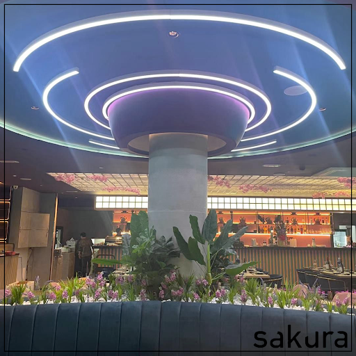 Sakura Vitoria: Deléitate con la fusión japonesa en el corazón de Álava 26