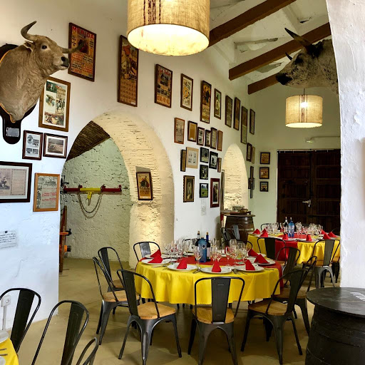 Restaurante San Albín Mérida: Sabores irresistibles en el corazón de Mérida 1 AF1QipNEJj2hpxQqtvFVi6 9EqK6G7QvS8S2G1pmTEnp