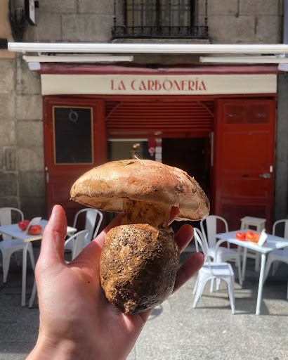 La Carboneria: Un rincón gourmet en Madrid donde las tapas conquistan con ingredientes frescos y un ambiente encantador 1