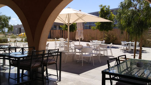 Restaurant Hom: Un oasis gourmet en Palma de Mallorca 20 AF1QipNNtv29d84rVPmoC9toredaGpcvWUCu7vOBoe8