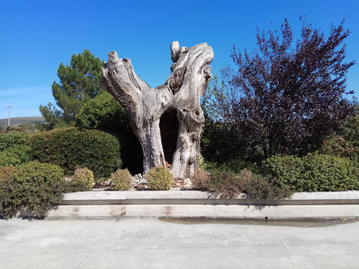 Meson de Erosa: Sabores caseros y vistas únicas en A Gudiña 50 AF1QipNWcuY0U55W3r0y8yyQrTyujoJvAVz9VOkJTMWz