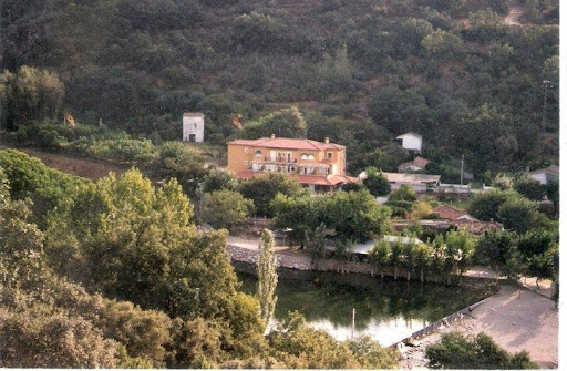 Restaurante Hostal La Pastora: Sabores caseros en un rincón acogedor de Candeleda 38 AF1QipNZTjjahLwzmSPdWpYQ3aT5CbP7Karfwa51 Gq