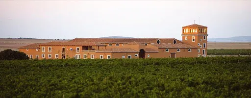 Bodega Finca Los Aljibes: Sabores únicos en un rincón especial de Chinchilla 1 Bodega Finca Los Aljibes: Sabores únicos en un rincón especial de Chinchilla