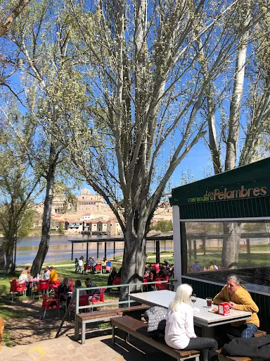 Merendero Los Pelambres: Saborea Zamora con vistas espectaculares