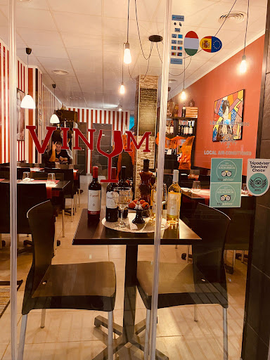 GastroVinum: Sabor húngaro en el corazón de Fuengirola 1