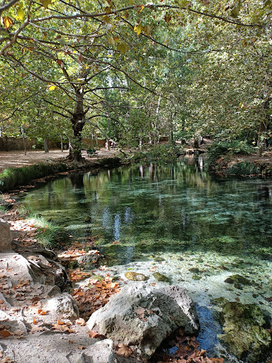 Fuentes del Marques: Sabor y naturaleza en Caravaca de la Cruz 1 AF1QipODbcf50E0gsun1s0T