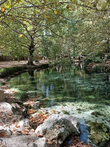 Fuentes del Marques: Sabor y naturaleza en Caravaca de la Cruz 1 Fuentes del Marques: Sabor y naturaleza en Caravaca de la Cruz