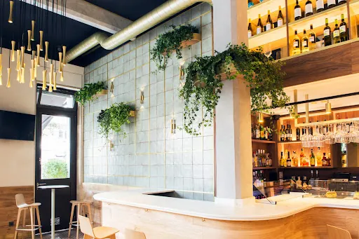 Sandonana: Delicias vegetarianas en el corazón de Santander