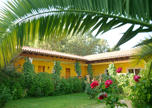 Restaurante El Retiro de Arenas: Sabor auténtico en un rincón de tranquilidad en Arenas de San Pedro 45