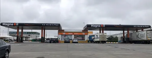 Magna Oil – ES VIA DE LA PLATA S.L.: Sabor auténtico en el corazón de Mérida