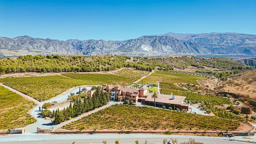 Hacienda Senorío de Nevada Restaurant: Comida mediterránea en un oasis de viñedos