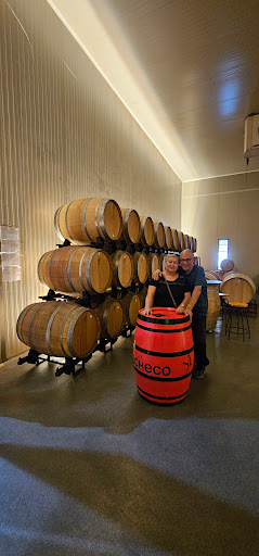 Bodegas Viña Elena: Sabores únicos en un entorno vinícola en Jumilla 50