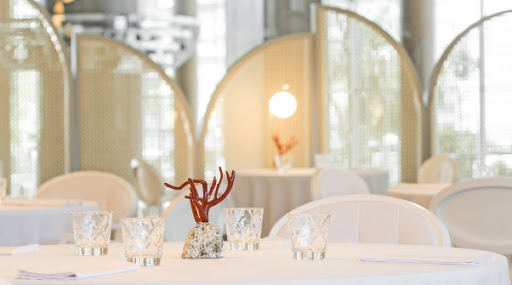 AF1QipOuUOG2jQh3Zo ftQ5onbNYU3rt7bQBYYWqeCBO