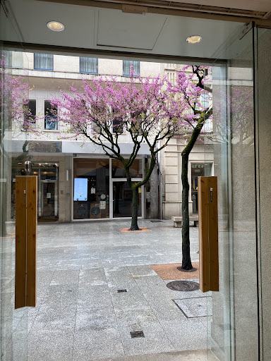 BICO de Xeado: Deliciosos helados en un rincón acogedor de Ourense 31