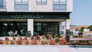 Auriga Gastrobar: Deléitate en Ourense con un sabor excepcional y un ambiente acogedor 13 AF1QipPXxzVenh4Fo9mg2gK2W6cHEuRnR1R1K6 1Qees