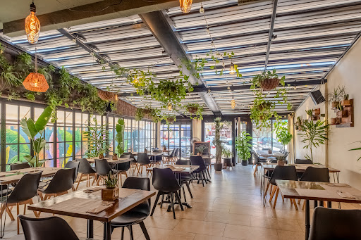 Baobab Soul Kitchen & Bar: Sabor único en el corazón de Alicante 1