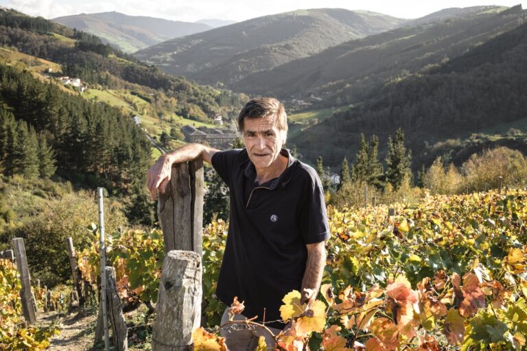 Héroes anónimos del vino asturiano en Cangas: pasión en tierras difíciles 36 AYBZOCMHQZBT5CJ4ZRJKG6XEHQ