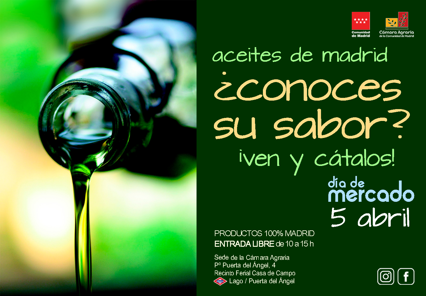 Aceites de Madrid destacan en nueva edición de Día de Mercado 2025 1 Aceites de Madrid destacan en nueva edicion de Dia de