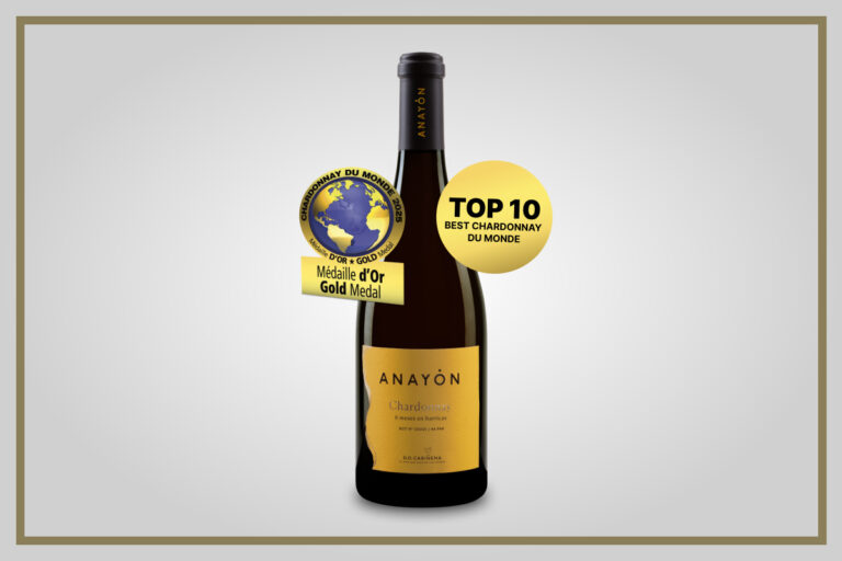 Anayón Chardonnay 2024 entre los 10 mejores del mundo en Borgoña 27 Anayon Chardonnay 2024 entre los 10 mejores del mundo en