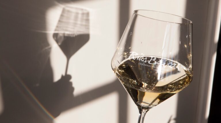 El Albariño que nace junto al Miño y al Atlántico: así es Mar del Norte, el vino que habla de O Rosal 30 Aprende a catar vinos DO Rias Baixas sin miedo ni