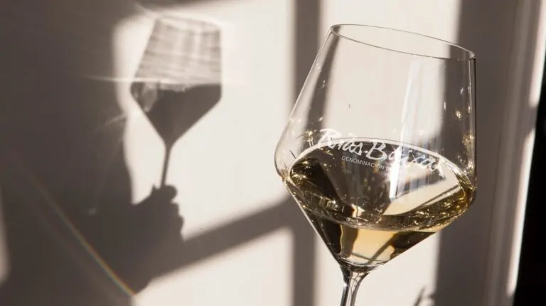 Aprende a catar vinos D.O. Rías Baixas sin miedo ni complicaciones