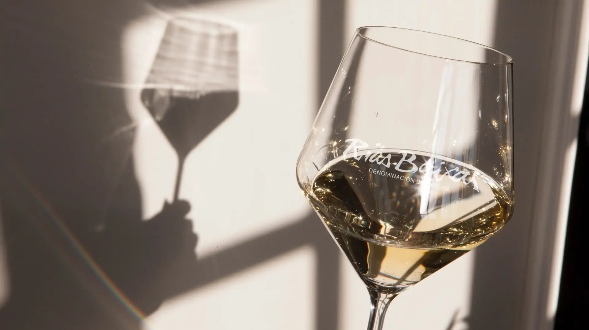 El Albariño que nace junto al Miño y al Atlántico: así es Mar del Norte, el vino que habla de O Rosal 1 Aprende a catar vinos D.O. Rías Baixas sin miedo ni complicaciones