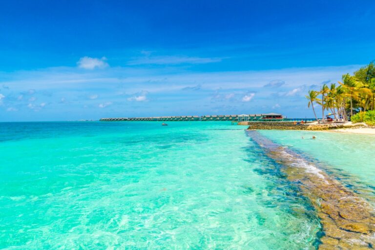 Cómo ir a Aruba desde España: guía de vuelos paso a paso 6 Aruba playa
