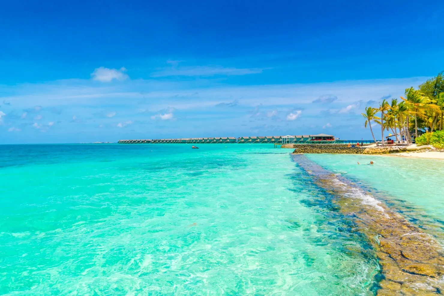Cómo ir a Aruba desde España: guía de vuelos paso a paso 1 Aruba playa