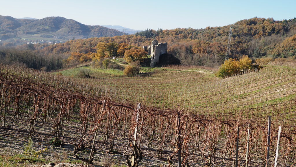 Aumenta la calidad y variedad del vino en Crozes-Hermitage en Rhône 1 Aumenta la calidad y variedad del vino en Crozes Hermitage en