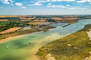 Aumentan un 20% los precios de viñedos en Essex según Knight Frank