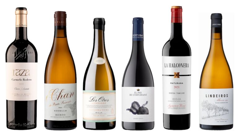 El secreto de unas fiestas inolvidables: descubre los seis vinos que están dando de qué hablar 32 BEHVUSZDDBFWLKLRF7WXZA5FBA