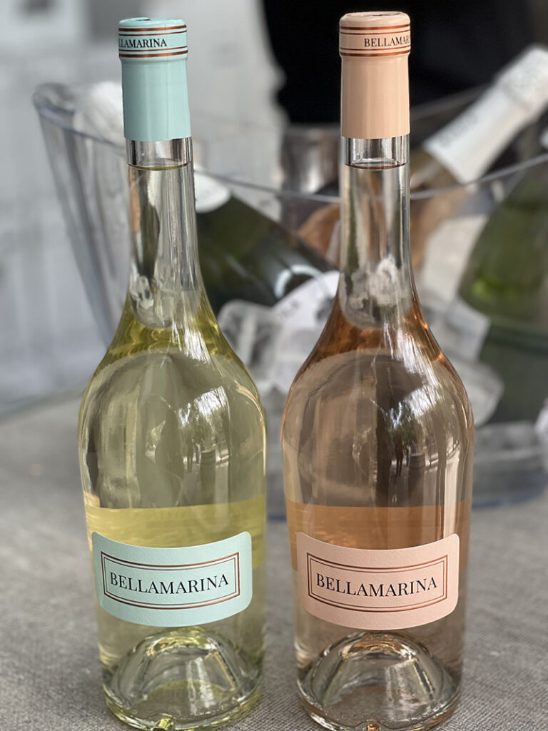 El fenómeno Bellamarina aterriza en la Mostra PROAVA de Valencia: «Es el vino que querrías tener en tu mesa de Instagram» 3 BELLAMARINA NUEVO LANZAMIENTO COVINAS