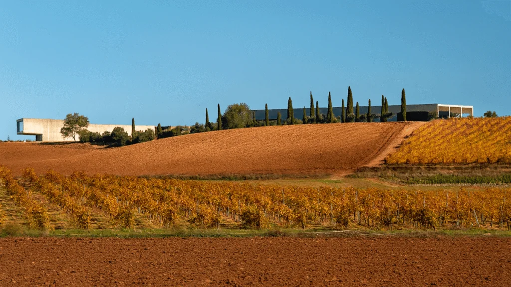 “Somos artesanos del vino”: así define Jean Belondrade el alma de la bodega familiar 3 BELONDRADE skyline edificios