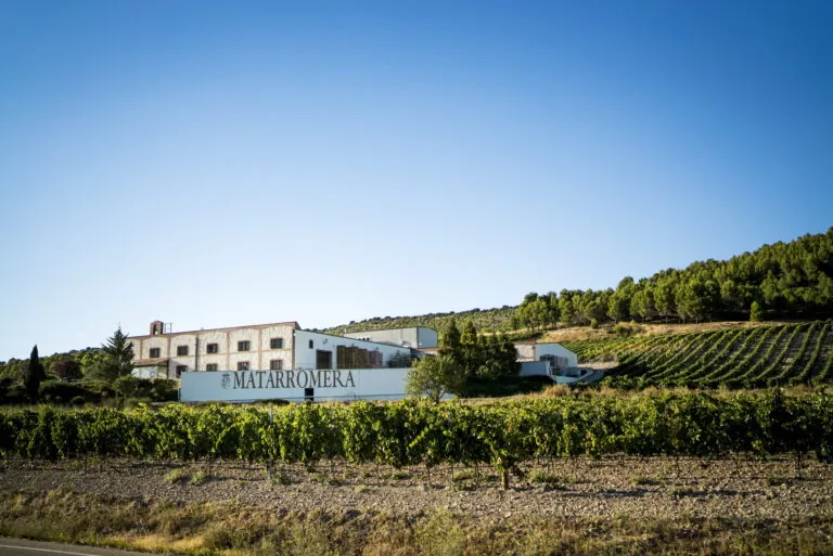 Bodegas Matarromera