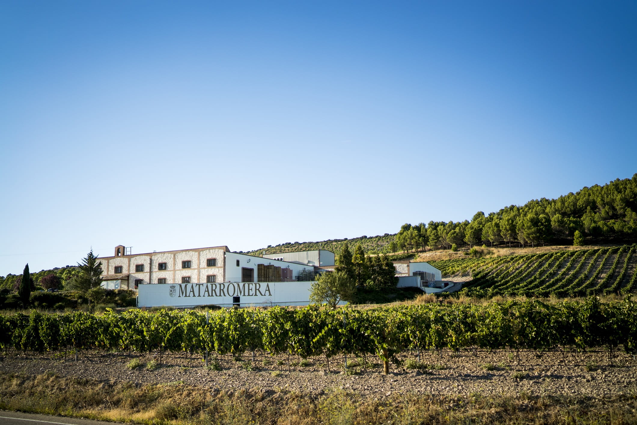 Bodegas Matarromera