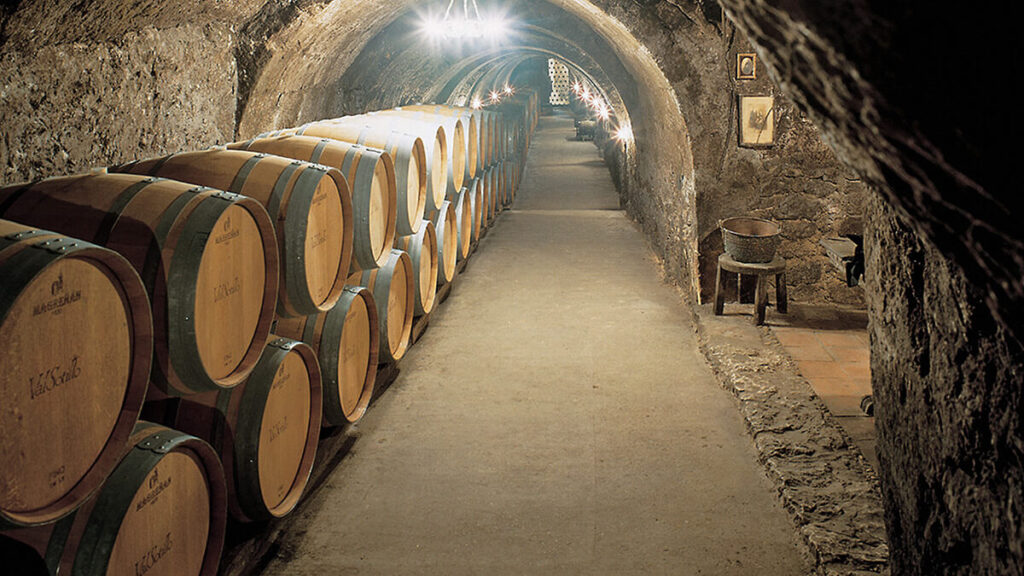 Así nació ValSotillo: de transportar vino a fundar una bodega histórica en la Ribera 2 BODEGA SUBTERRANEA siglo XVI Bodegas Ismael Arroyo 1 1