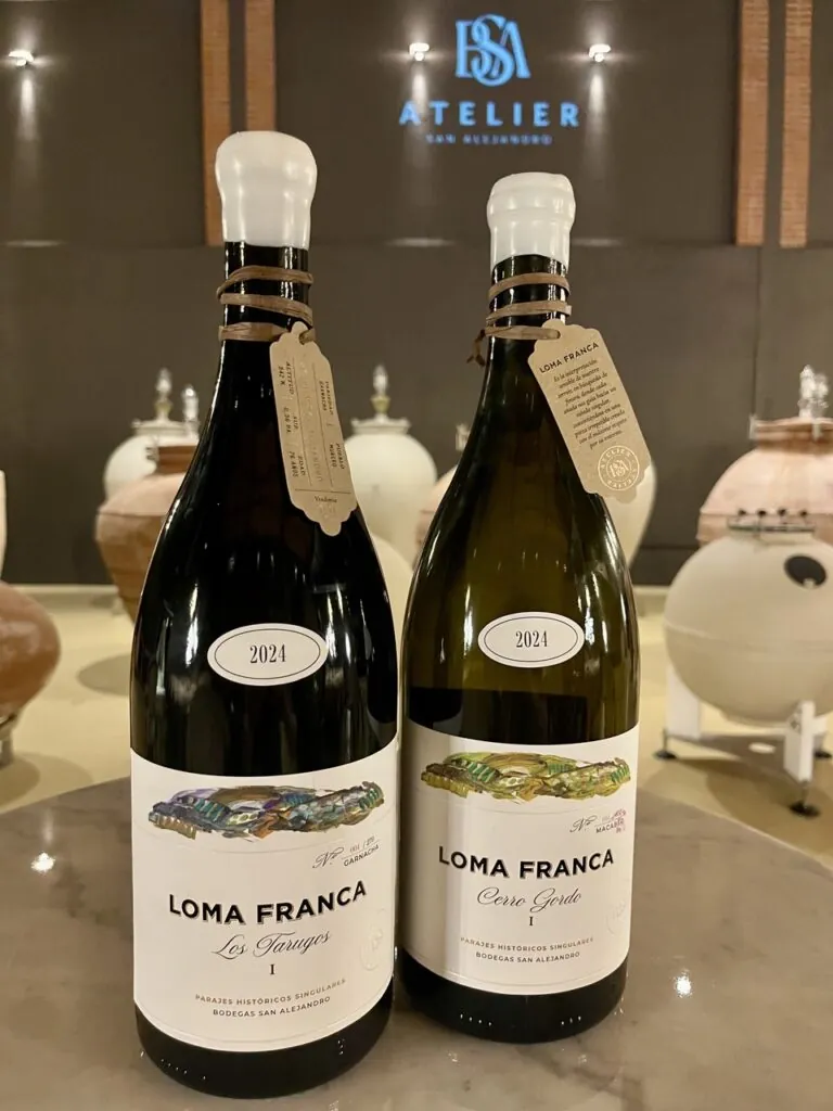 Bodegas San Alejandro abre Atelier: su proyecto más artesanal para expresar el viñedo viejo de Calatayud 5 BSA Atelier 3