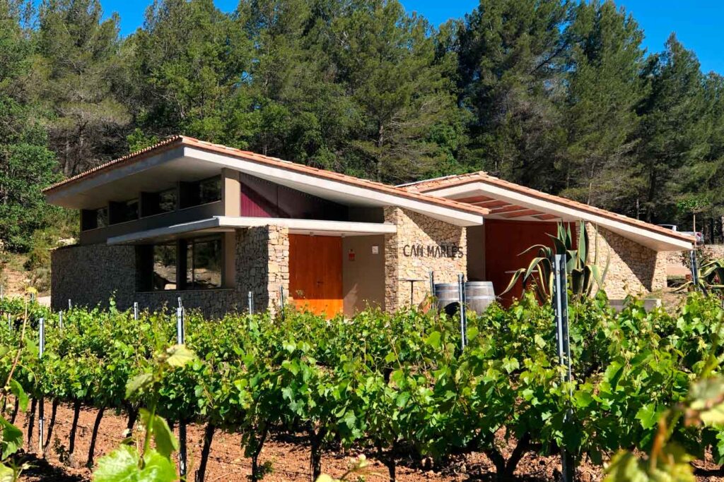 Bodega Can Marlès: La pasión que hizo florecer una bodega única en el corazón del Montmell 2 Bodega Can Marlès