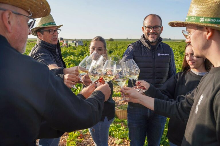 Bodega Cuatro Rayas cierra 2024 con más de 150 premios nacionales e internacionales 45 Bodega Cuatro Rayas cierra 2024 con mas de 150 premios