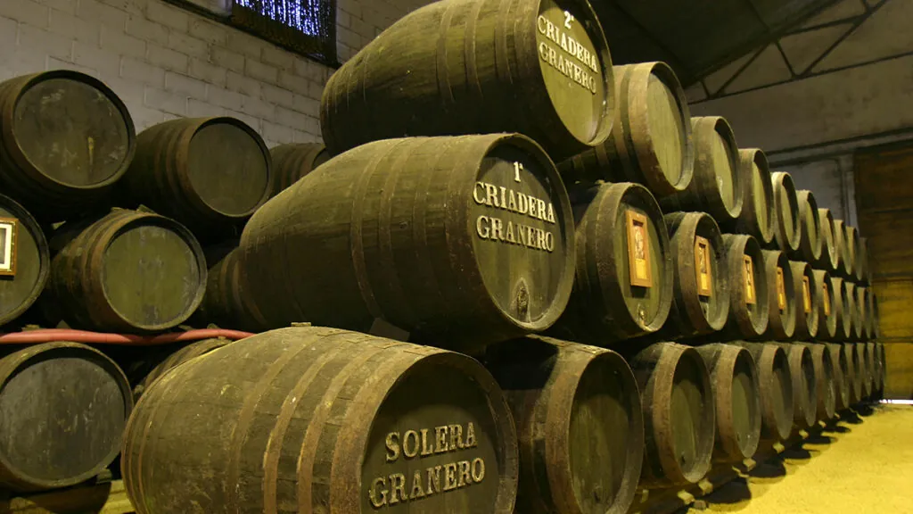 Bodega Manuel Aragon 2