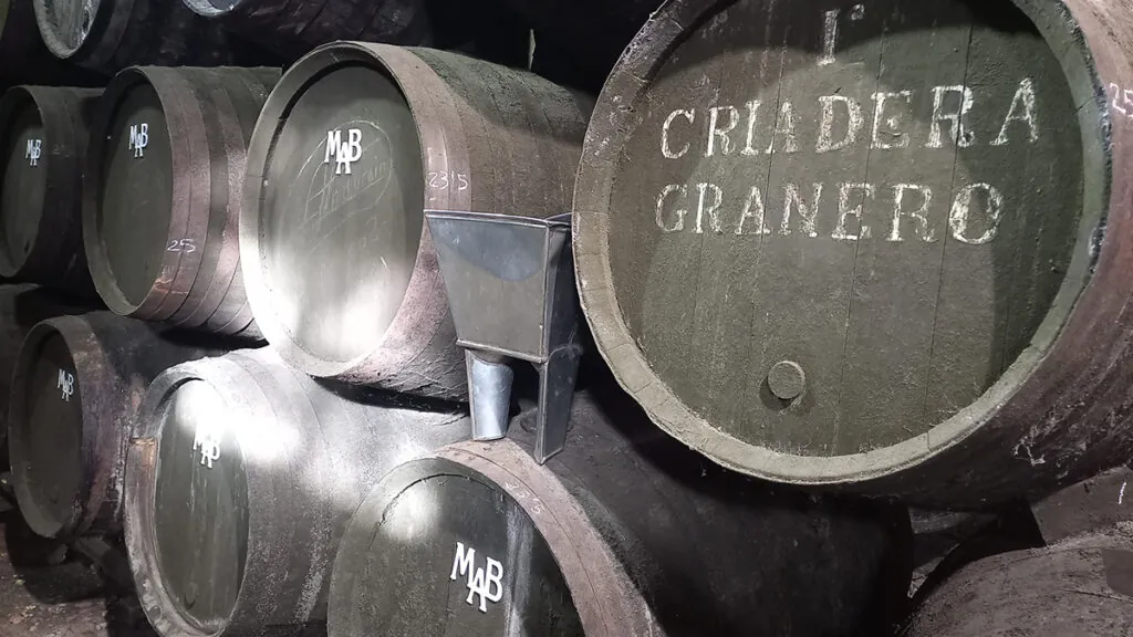Bodega Manuel Aragon 3