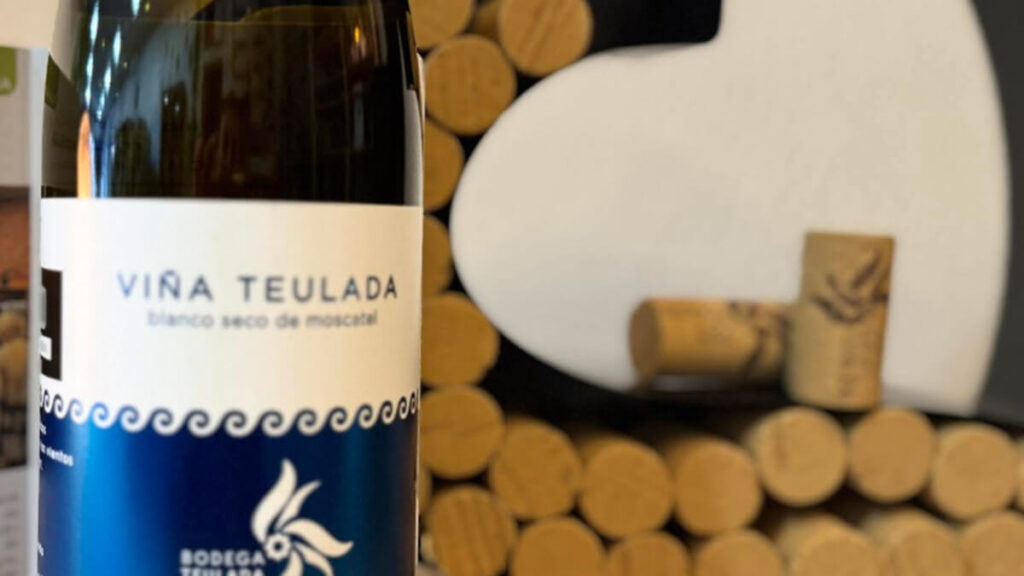 “Moscatel que no ve el mar, llora”: la bodega de Teulada que convirtió una frase en su filosofía 2 Bodega Teulada