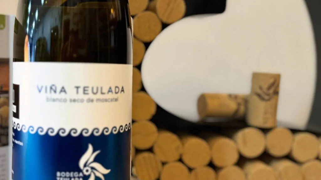 “Moscatel que no ve el mar, llora”: la bodega de Teulada que convirtió una frase en su filosofía 2 Bodega Teulada